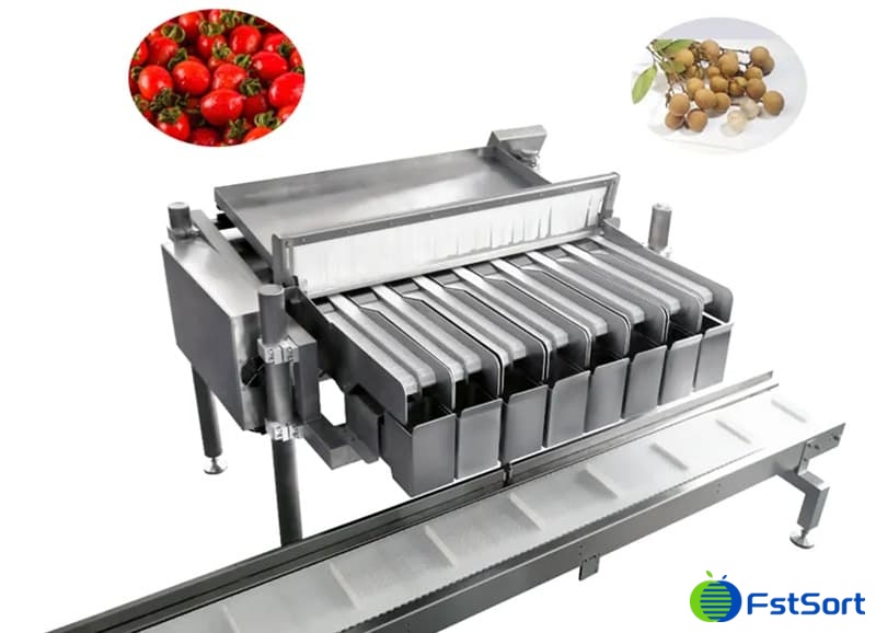 images/1735026453099pesadora y envasadora de cerezas.jpg